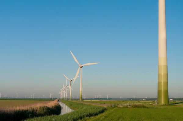 Ветряные турбины Нидерландов — стоковое фото