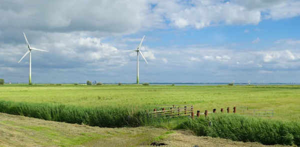 Moinhos de vento verdes — Fotografia de Stock