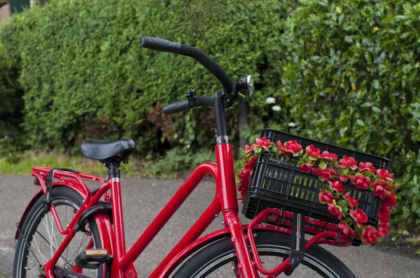 Красный велосипед — стоковое фото