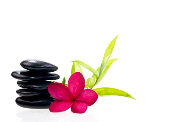 Schwarze ausgewogene Zen-Steine mit Bambus und roter Plumeria-Blume — Stockfoto