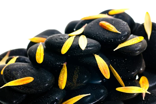 Yellow gerbera petals on black zen stone — Stock Photo, Image