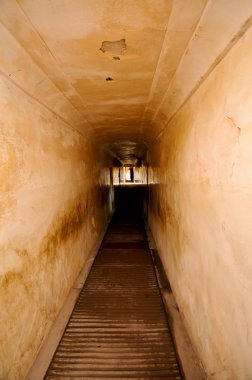 Tunnel in Amber Fort , Jaipur, India clipart