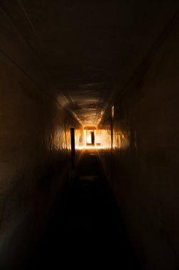 Dark tunnel in Amber Fort , Jaipur clipart