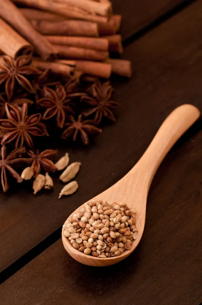 Beech wood spoon with coriander and spice background — Stock Photo, Image