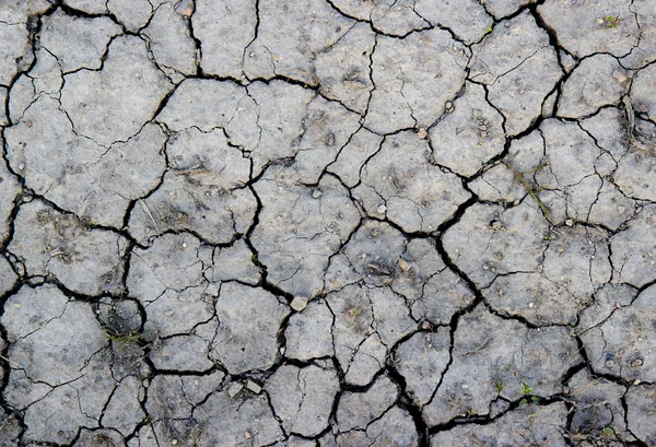 De droge grijze aarde met scheuren textuur. — Stockfoto