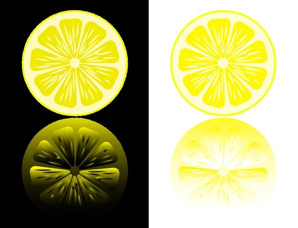 Lemon cut on a black and white background with reflection. — Stock Vector