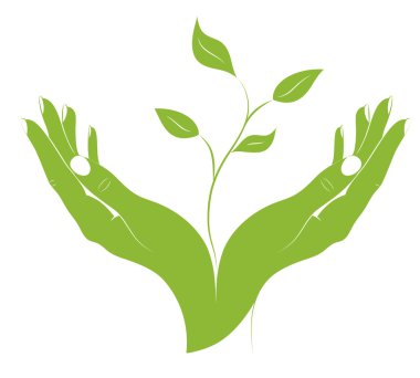 The silhouette of young plant in female hands. clipart