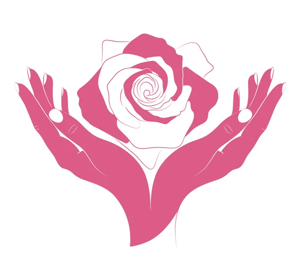 Růže v ženských rukou. vektor. — Stockový vektor