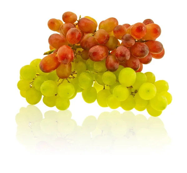 The clusters of green and dark blue grapes. — Stock Photo, Image
