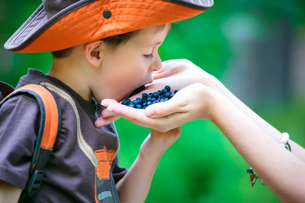 Cute little boy eating berries from mother's hand — Stock Photo, Image