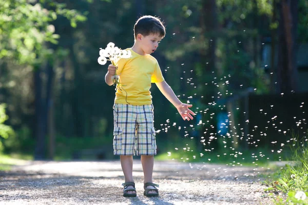 Little boy having fun with dandelion seeds — Stock Photo, Image