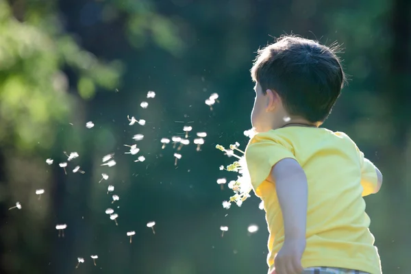 Child blowing away dandelion seeds — Stock Photo, Image