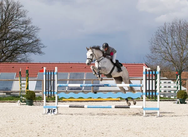 Paarden competitie — Stockfoto