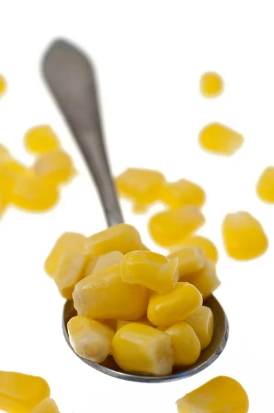 Corn on a spoon — Stock Photo, Image