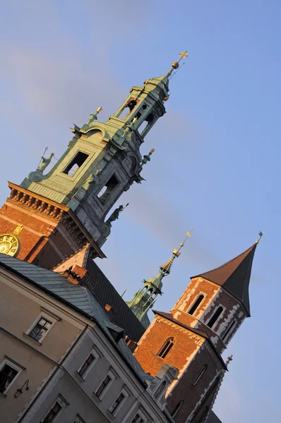Detalle de Wawel — Foto de Stock