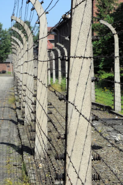 Obrázek pod vězeňským plotem — Stock fotografie