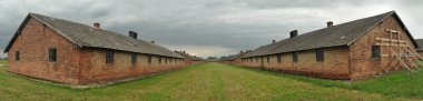 Birkenau'dan resim