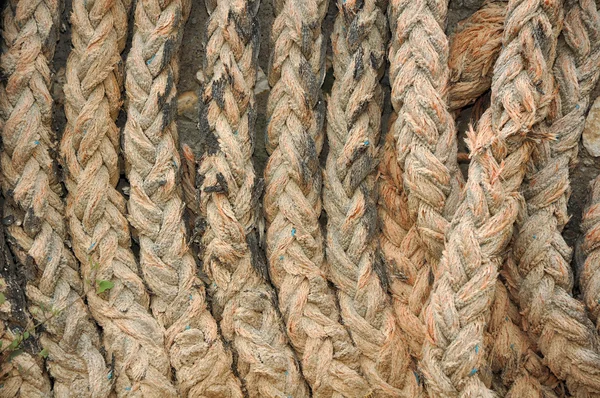 Fishnig ロープ — ストック写真