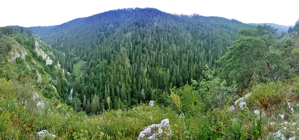 Panorama forestal — Foto de Stock