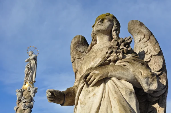 コシツェの天使 — ストック写真