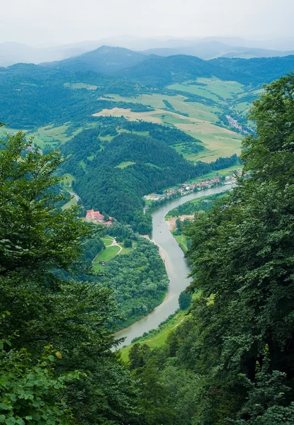 Sungai Dunajec — Stok Foto