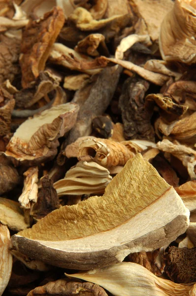 stock image Dried mushrooms