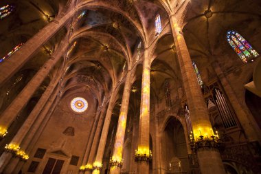 Palma katedral iç