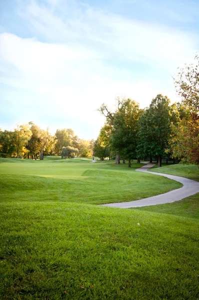 stock image Golf Course Trees