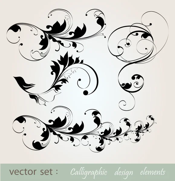 Vector set: calligraphic design floral elements — Stock Vector