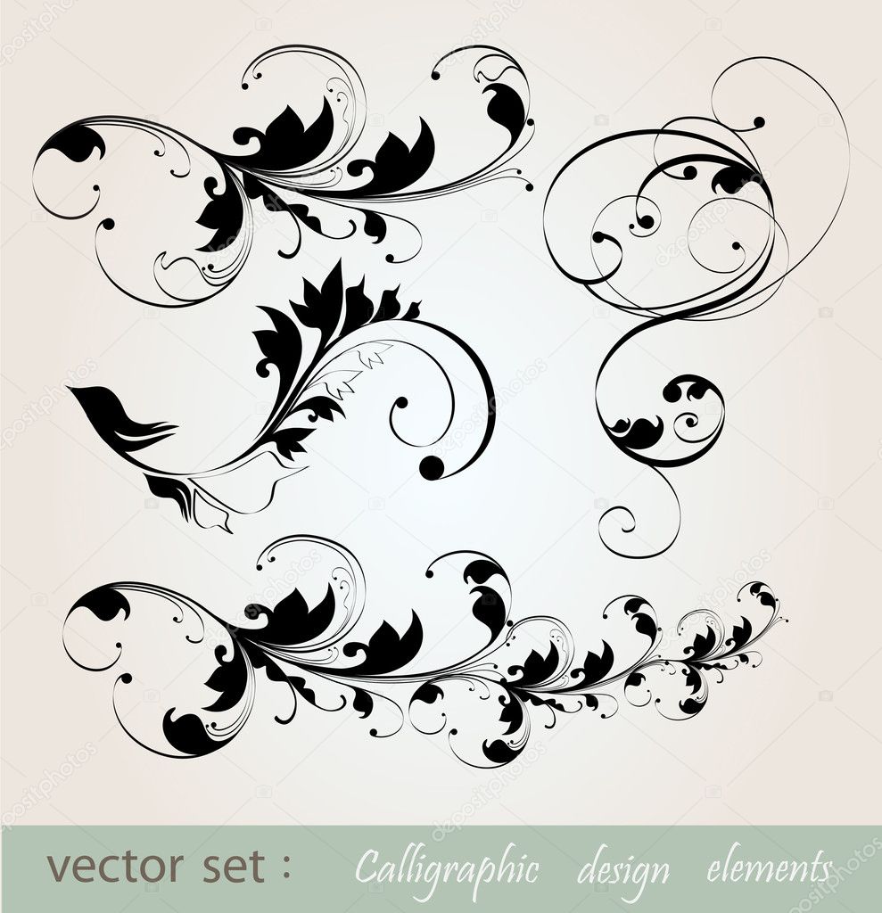 Vector set: calligraphic design floral elements