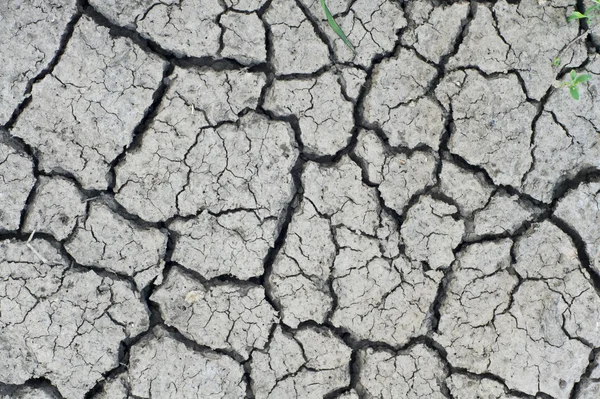 Stock image Dried soil