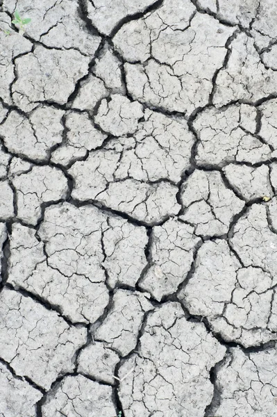 stock image Dried soil