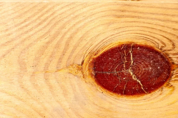 Nodo in legno — Foto Stock