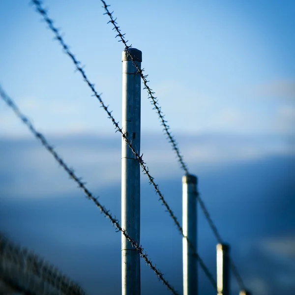 Taggad tråd stängsel — Stockfoto