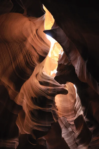 stock image LION KING, ANTI LOPE CANYON