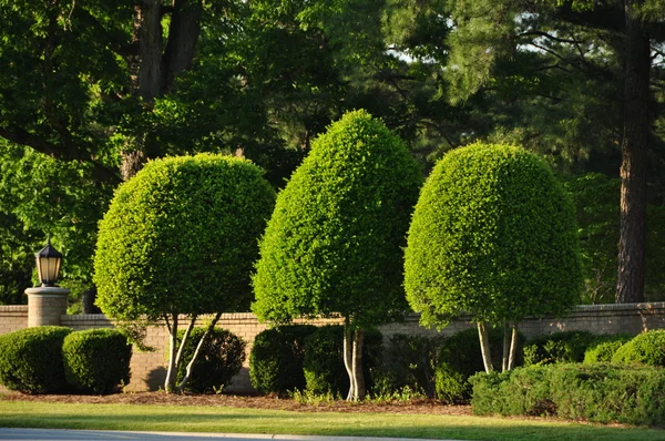 stock image Road side Gardening