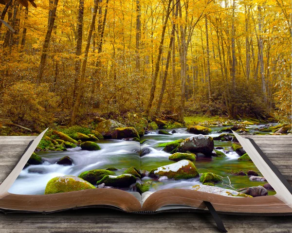Autumn stream met boek. — Stockfoto