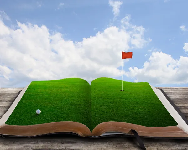 Поле для гольфа на книге — стоковое фото