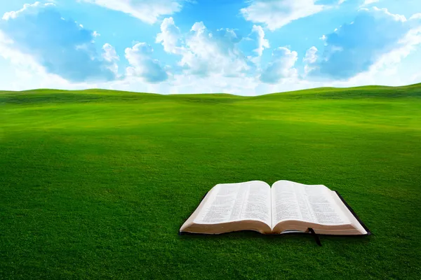 Bíblia sobre campo gramado — Fotografia de Stock
