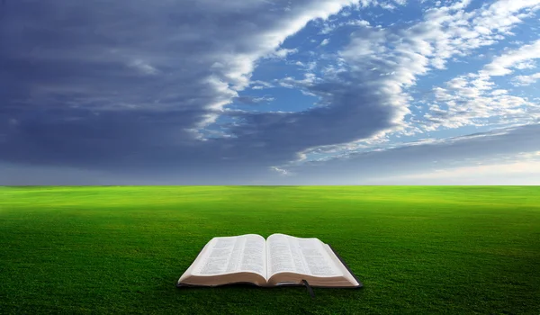 Open bible in field. — Stock Photo, Image
