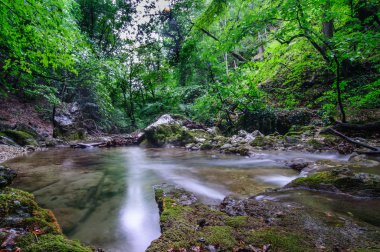 Kırım'da Büyük Kanyon ormanı Nehri