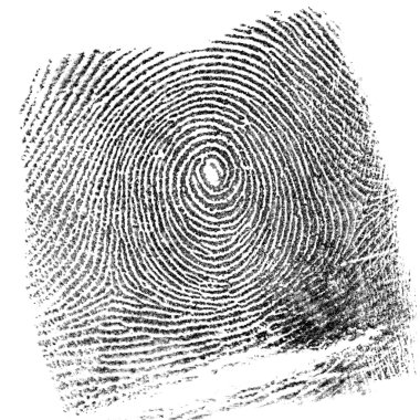 Fingerprint clipart