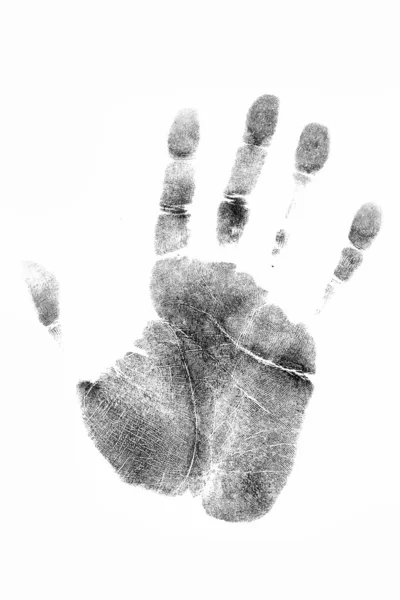 Fingerprint — Stock Photo, Image