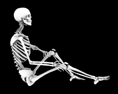 Bones on a skeleton clipart