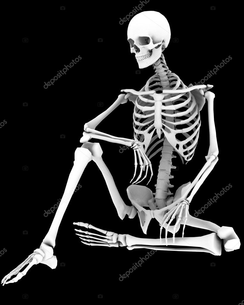 Skeleton human dorsal side view with armless pose Vector Image