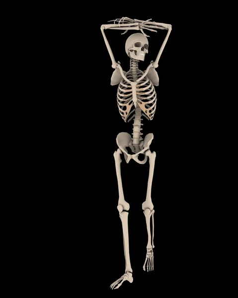 Прикольный Скелет Фото