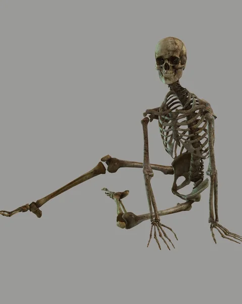 Падший скелет — стокове фото