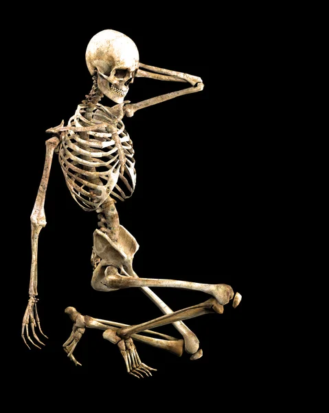 Skeleton crouching — Stockfoto