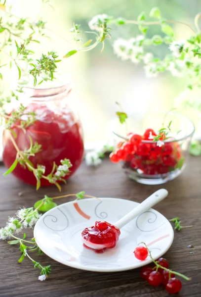 Red currant jam — Stock Photo, Image