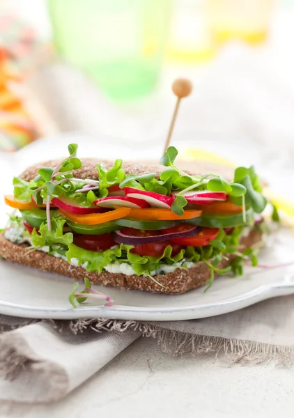 Vegetable Sandwich — Stock Photo, Image